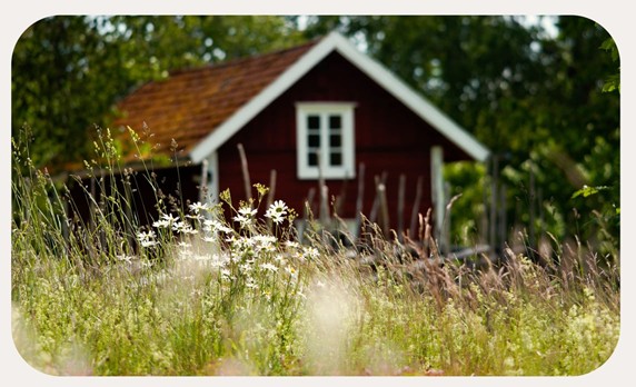 Sommarhälsning från IF Metallklubbens styrelse